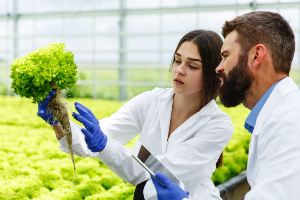 Researchers collaborating in the field